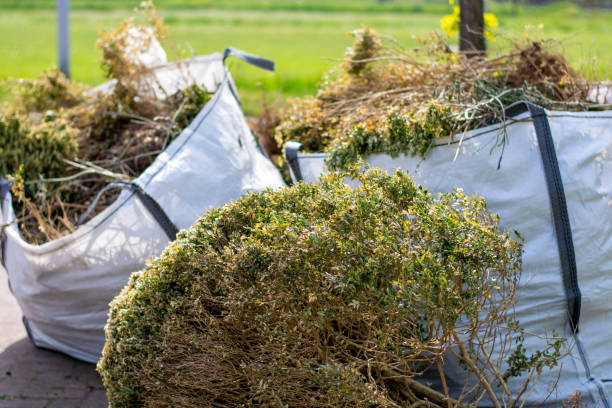 Reliable Smithton, IL Junk Removal Services Solutions